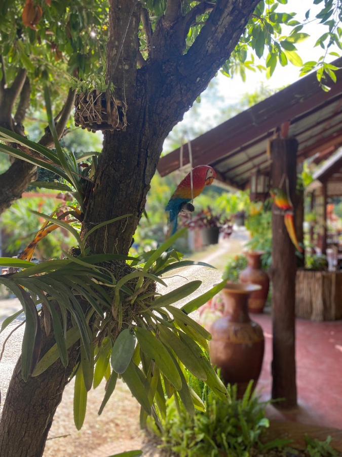 นพรัตน์การ์เด้นฮิลล์ Hotell Uthai Thani Eksteriør bilde